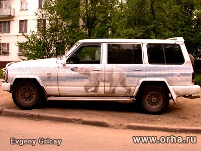 Белые медведи