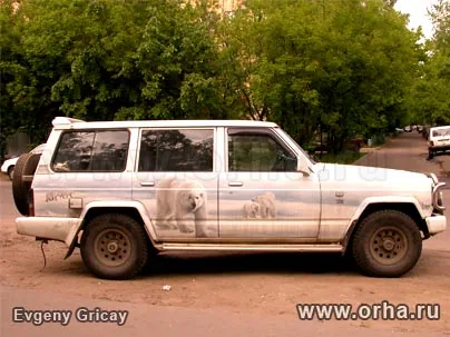 Белые медведи