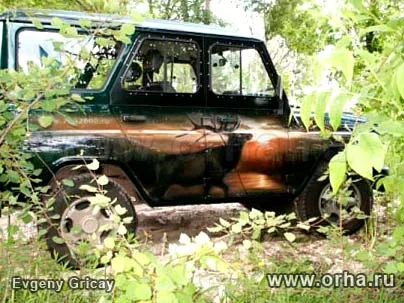 Олени