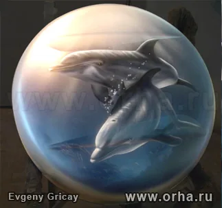 Дельфины