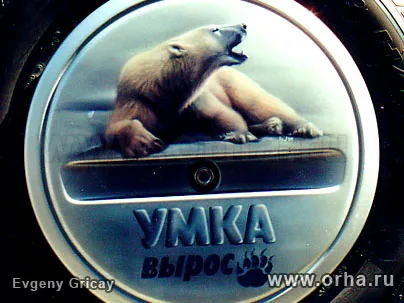 Умка вырос