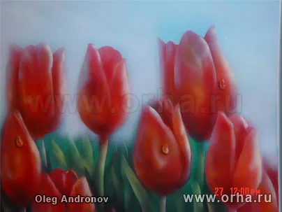 Тюльпаны
