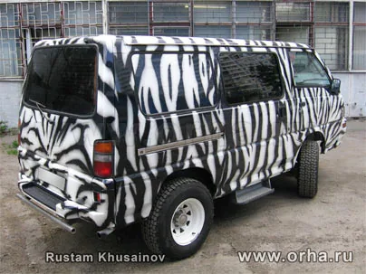 Зебра