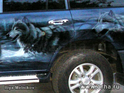 Волки