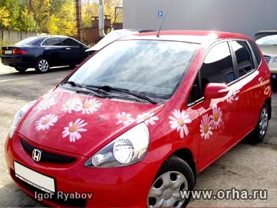 Ромашки