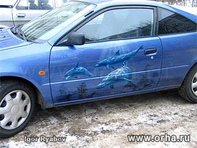 Дельфины