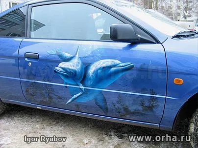 Дельфины
