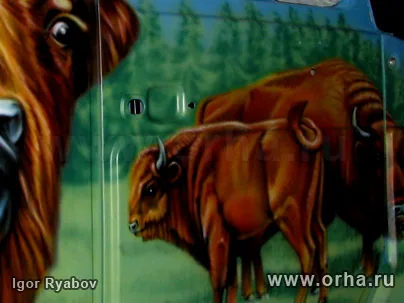 WWF