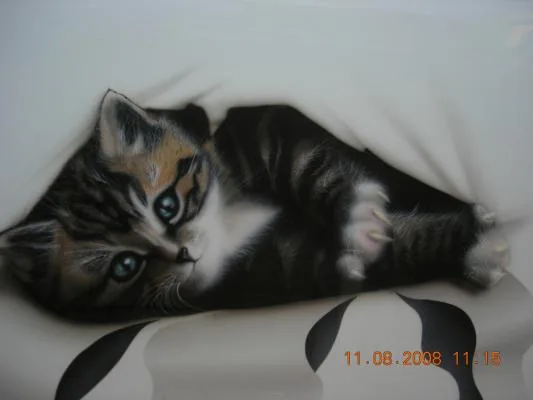котенок на капоте. г Ростов на дону.