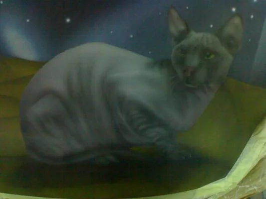 кошка