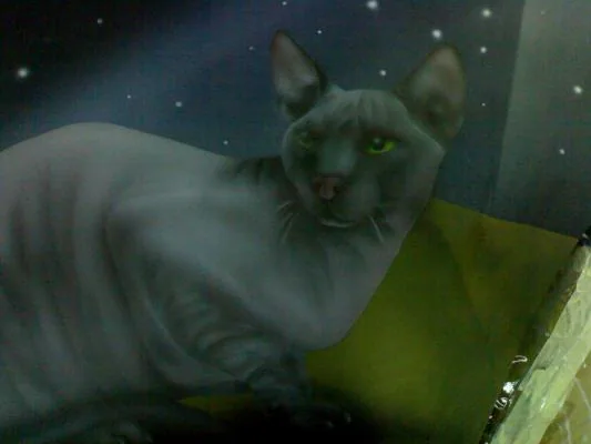 кошка