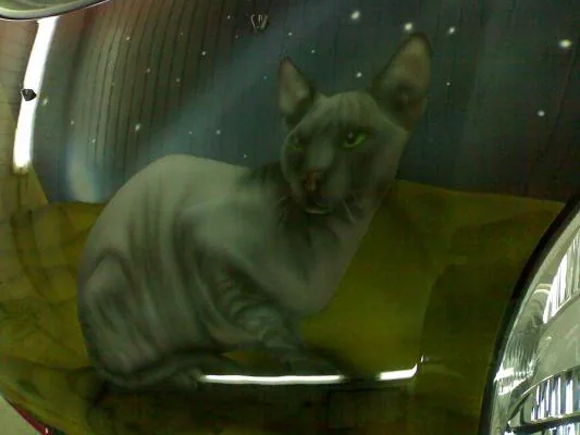 кошка