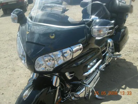 Gold Eagle