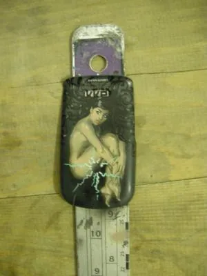 Нимфа