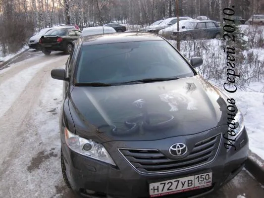 Работа из народной галереи