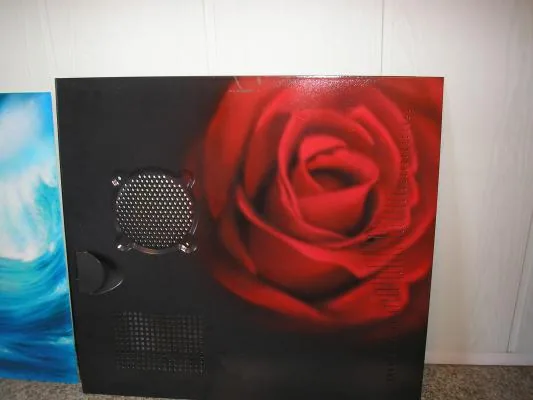 pervaya rosa