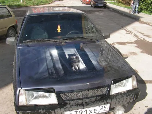 Работа из народной галереи