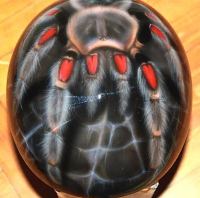 Spider Helmet