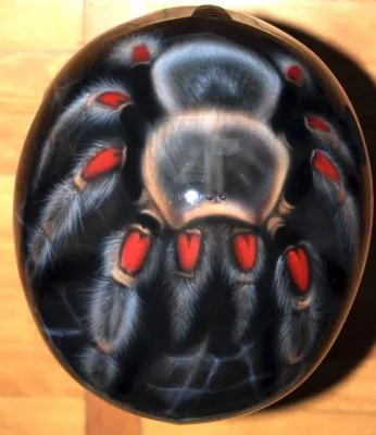 Spider Helmet