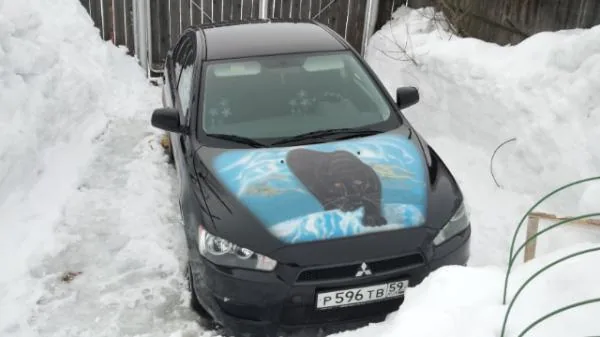 Работа из народной галереи