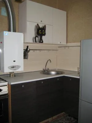 котэ на кухне
