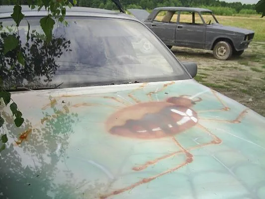 Работа из народной галереи