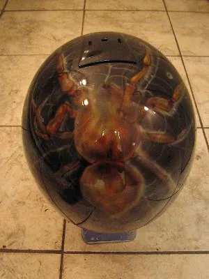 паук