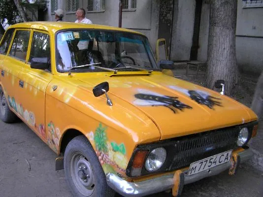 пчелы