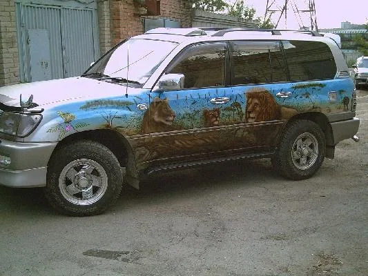 в мире животных