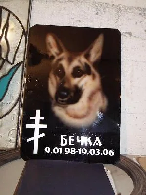 Работа из народной галереи