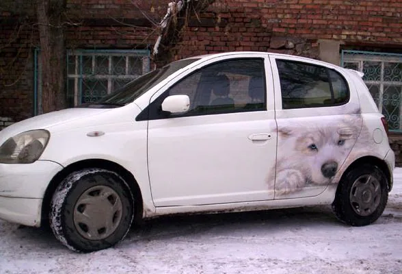 Собака 1