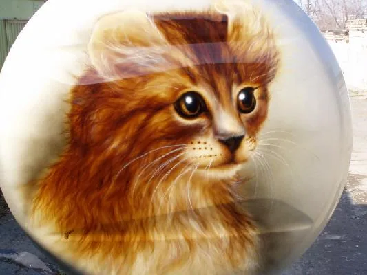 котейковый колпак