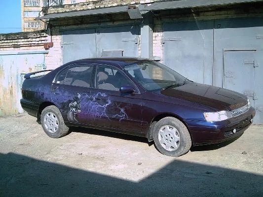 вот такая стерва