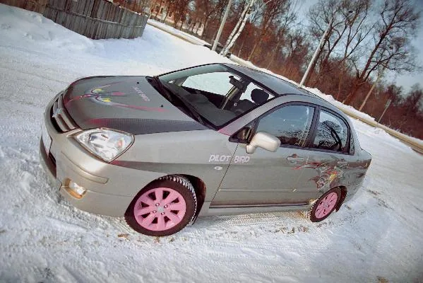 1Птица попутчик