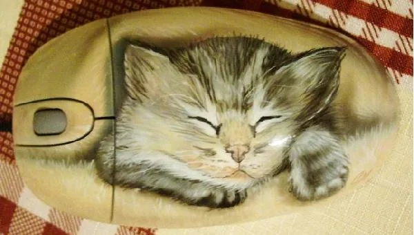Кот