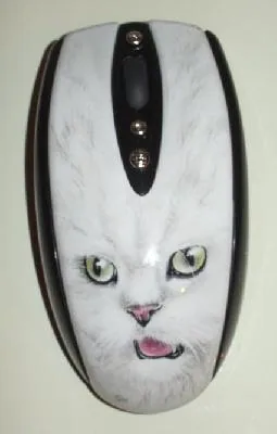 Кошка