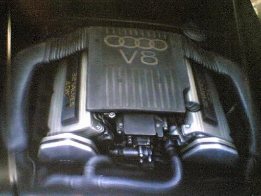 v-8