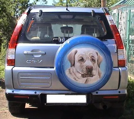 Работа из народной галереи
