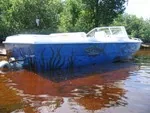 Работа из народной галереи