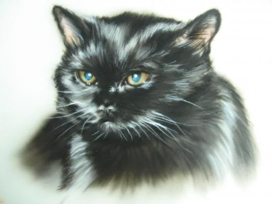 Кошка