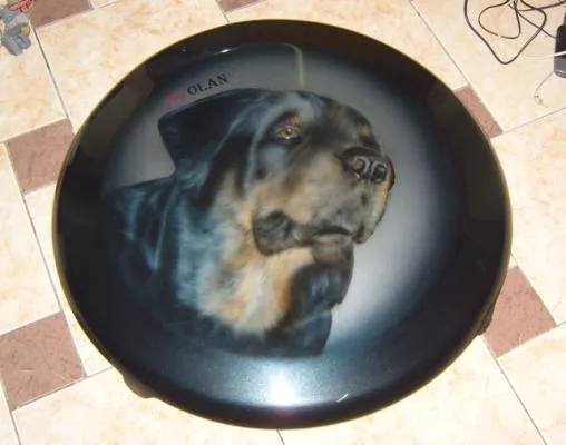 собака