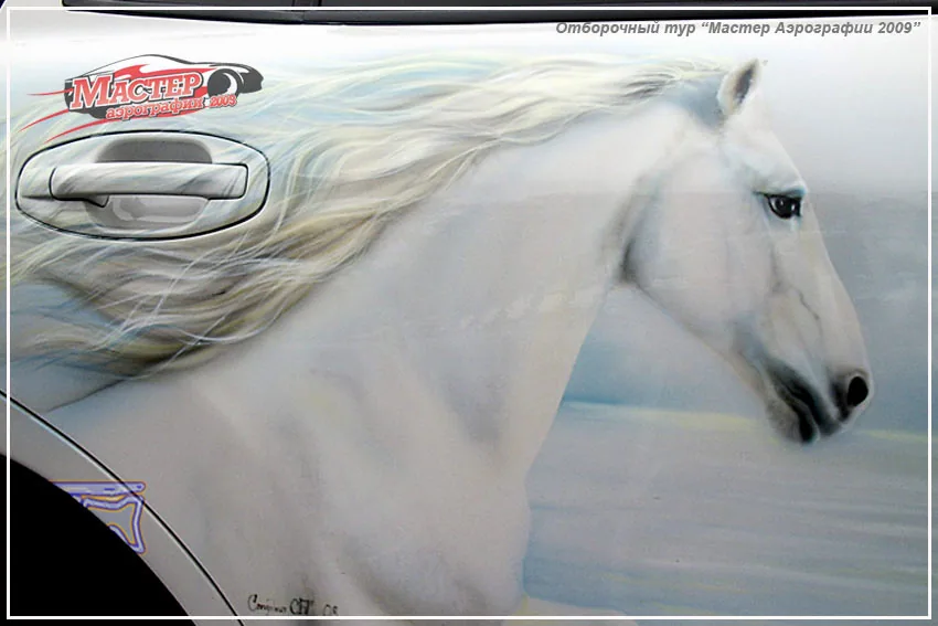 Мастер аэрографии 2009